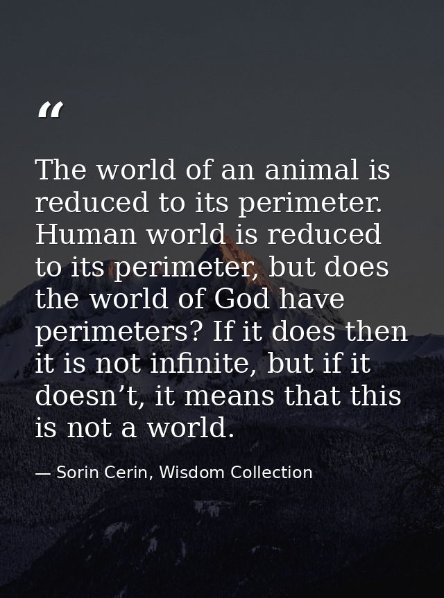 The world of an animal is reduced to its perimeter. Human world is reduced to its perimeter, but does the world of God h — Sorin Cerin, Wisdom Collection