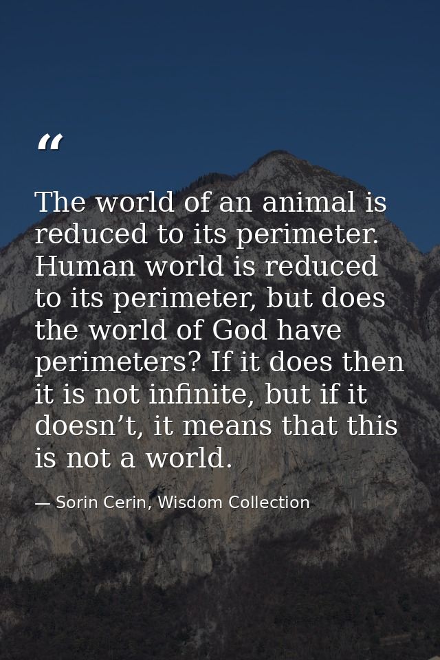 The world of an animal is reduced to its perimeter. Human world is reduced to its perimeter, but does the world of God h — Sorin Cerin, Wisdom Collection