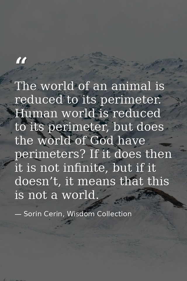 The world of an animal is reduced to its perimeter. Human world is reduced to its perimeter, but does the world of God h — Sorin Cerin, Wisdom Collection