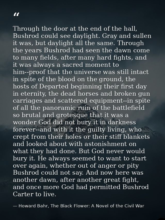 Through the door at the end of the hall, Bushrod could see daylight. Gray and sullen it was, but daylight all the same.  — Howard Bahr, The Black Flower: A Novel of the Civil War