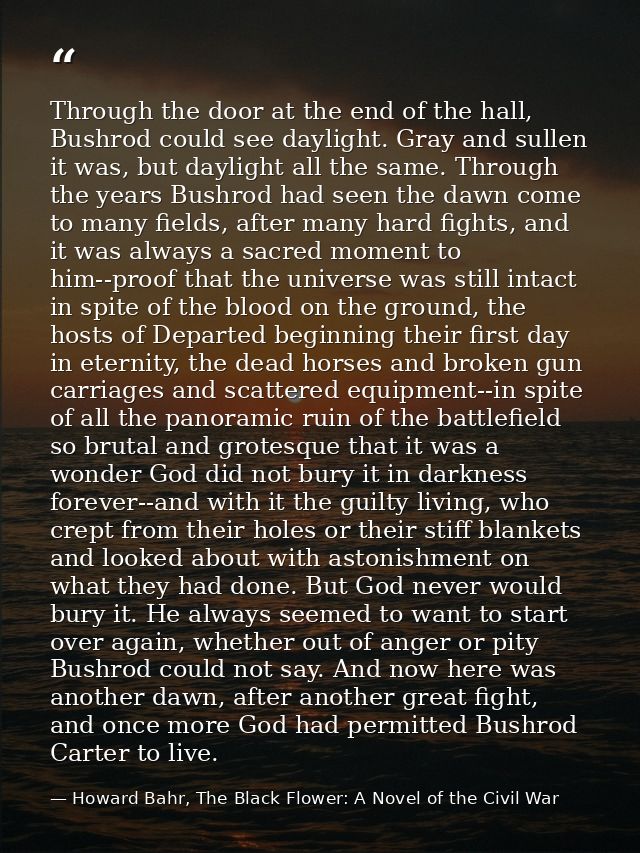 Through the door at the end of the hall, Bushrod could see daylight. Gray and sullen it was, but daylight all the same.  — Howard Bahr, The Black Flower: A Novel of the Civil War