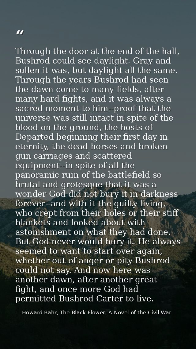 Through the door at the end of the hall, Bushrod could see daylight. Gray and sullen it was, but daylight all the same.  — Howard Bahr, The Black Flower: A Novel of the Civil War