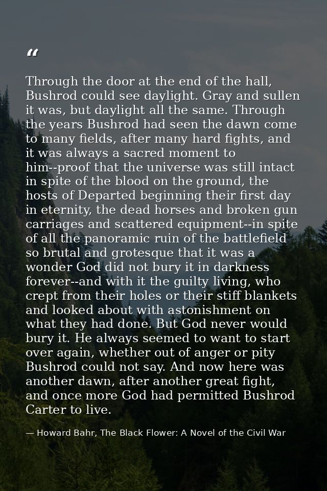 Through the door at the end of the hall, Bushrod could see daylight. Gray and sullen it was, but daylight all the same.  — Howard Bahr, The Black Flower: A Novel of the Civil War