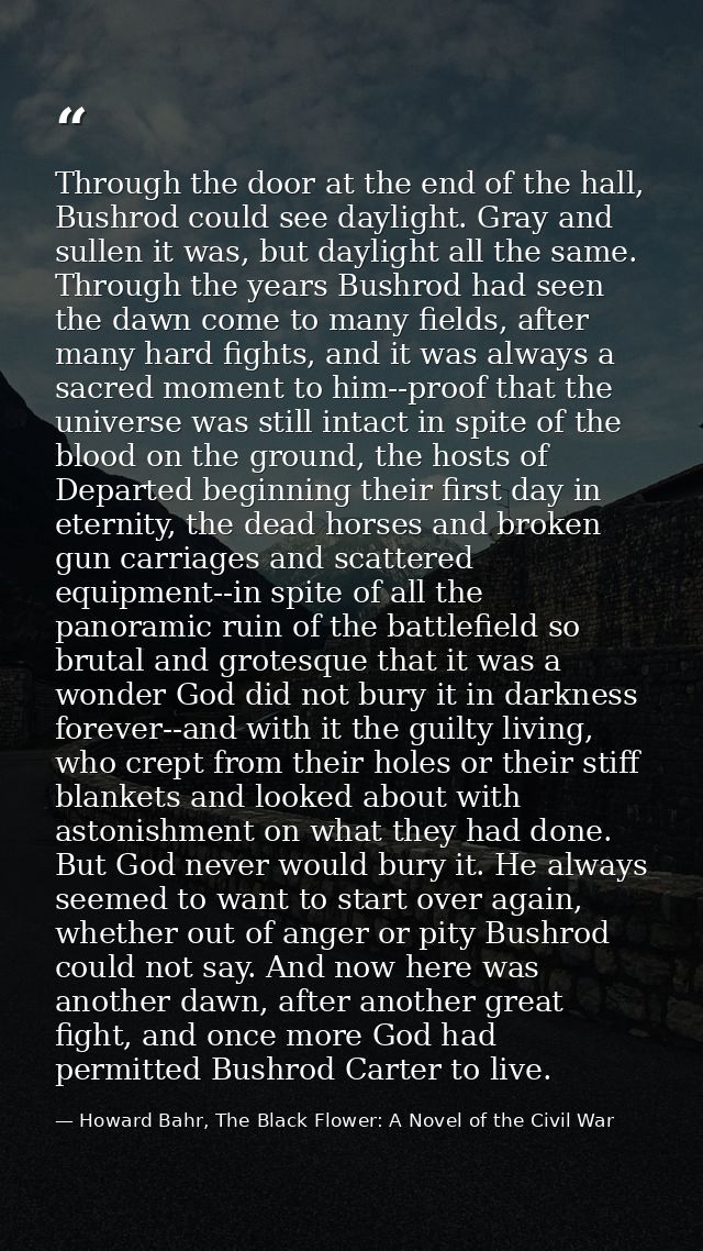 Through the door at the end of the hall, Bushrod could see daylight. Gray and sullen it was, but daylight all the same.  — Howard Bahr, The Black Flower: A Novel of the Civil War