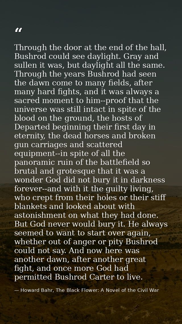 Through the door at the end of the hall, Bushrod could see daylight. Gray and sullen it was, but daylight all the same.  — Howard Bahr, The Black Flower: A Novel of the Civil War