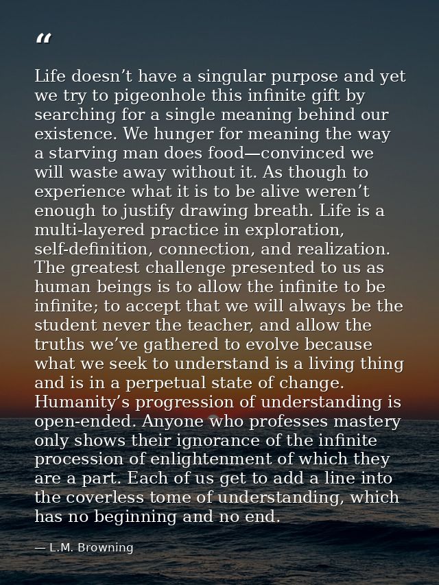 Life doesn’t have a singular purpose and yet we try to pigeonhole this infinite gift by searching for a single meaning b — L.M. Browning