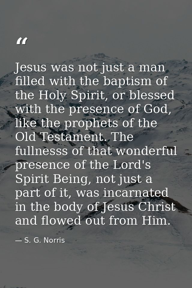 Jesus was not just a man filled with the baptism of the Holy Spirit, or blessed with the presence of God, like the proph — S. G. Norris