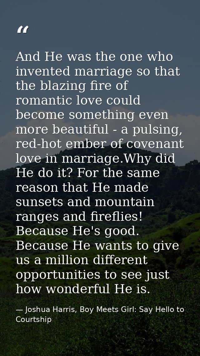 And He was the one who invented marriage so that the blazing fire of romantic love could become something even more beau — Joshua Harris, Boy Meets Girl: Say Hello to Courtship
