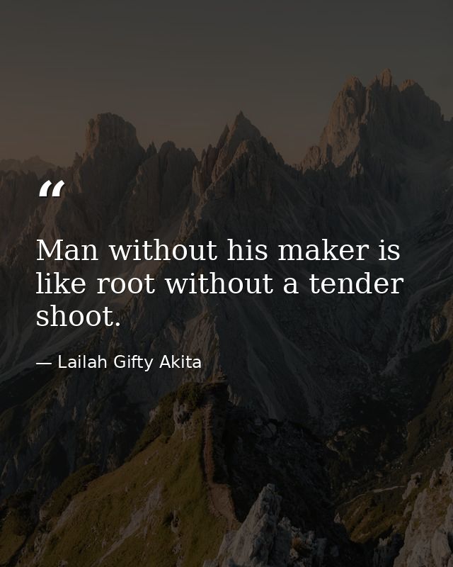 Man without his maker is like root without a tender shoot. — Lailah Gifty Akita