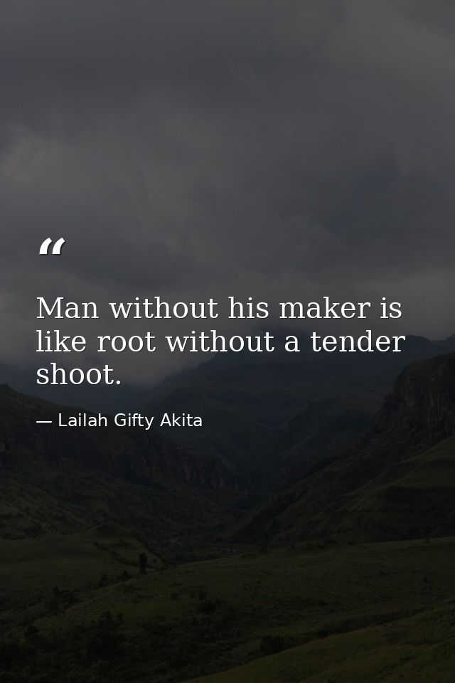 Man without his maker is like root without a tender shoot. — Lailah Gifty Akita
