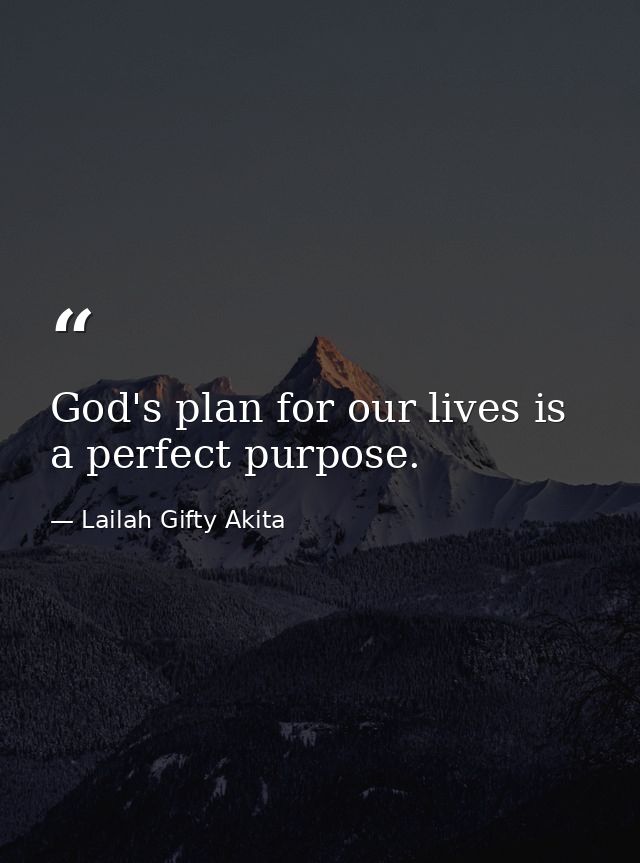 God's plan for our lives is a perfect purpose. — Lailah Gifty Akita