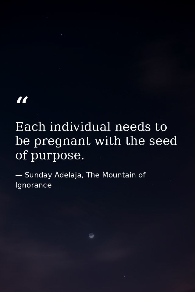 Each individual needs to be pregnant with the seed of purpose. — Sunday Adelaja, The Mountain of Ignorance