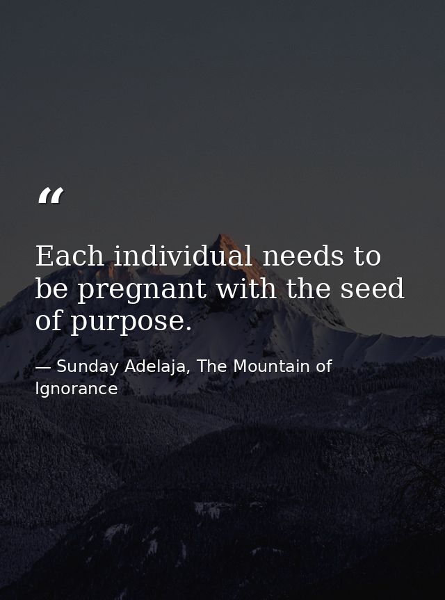 Each individual needs to be pregnant with the seed of purpose. — Sunday Adelaja, The Mountain of Ignorance