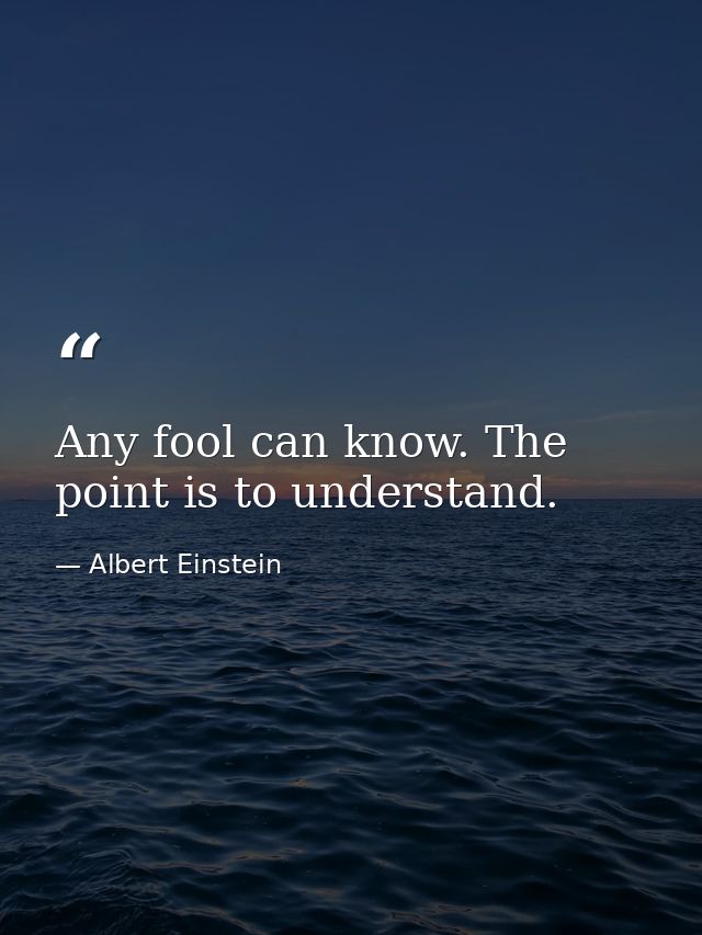 Any fool can know. The point is to understand. — Albert Einstein