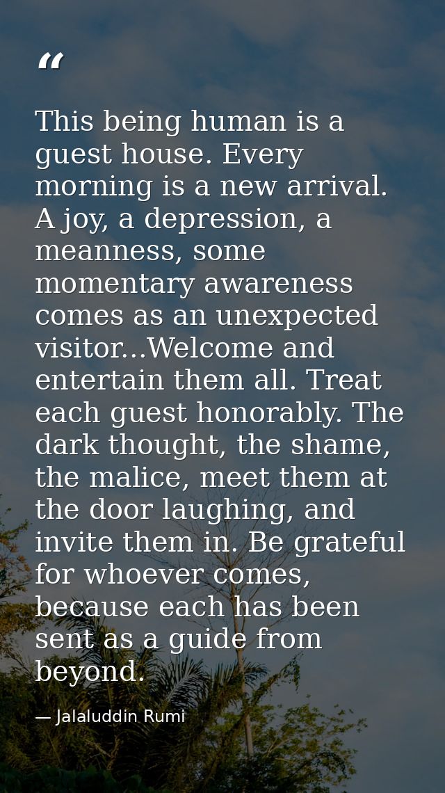 This being human is a guest house. Every morning is a new arrival. A joy, a depression, a meanness, some momentary aware — Jalaluddin Rumi