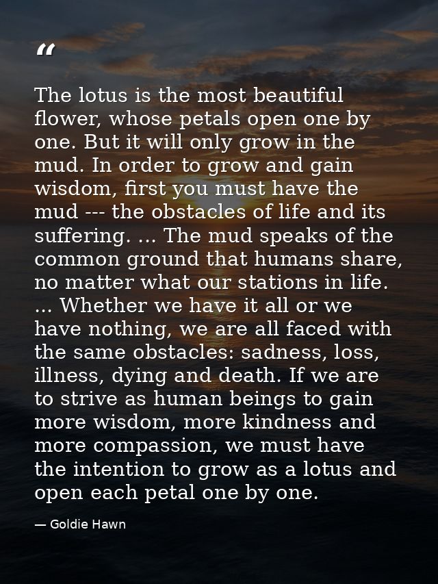 The lotus is the most beautiful flower, whose petals open one by one. But it will only grow in the mud. In order to grow — Goldie Hawn