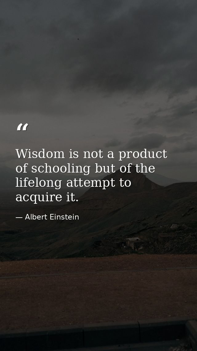 Wisdom is not a product of schooling but of the lifelong attempt to acquire it. — Albert Einstein