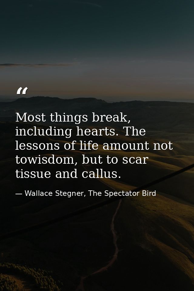 Most things break, including hearts. The lessons of life amount not towisdom, but to scar tissue and callus. — Wallace Stegner, The Spectator Bird
