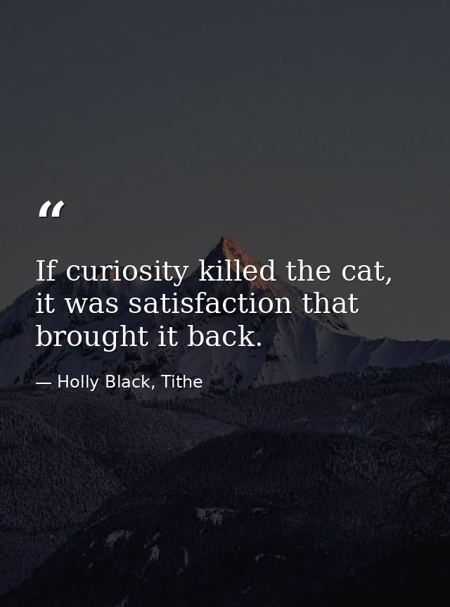If curiosity killed the cat, it was satisfaction that brought it back. — Holly Black, Tithe