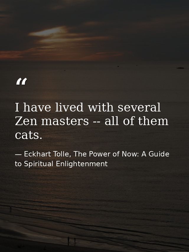 I have lived with several Zen masters -- all of them cats. — Eckhart Tolle, The Power of Now: A Guide to Spiritual Enlightenment