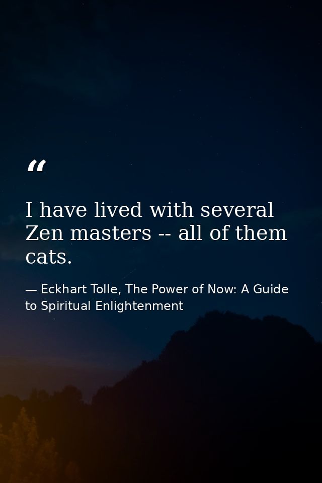 I have lived with several Zen masters -- all of them cats. — Eckhart Tolle, The Power of Now: A Guide to Spiritual Enlightenment