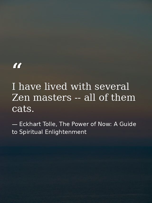 I have lived with several Zen masters -- all of them cats. — Eckhart Tolle, The Power of Now: A Guide to Spiritual Enlightenment