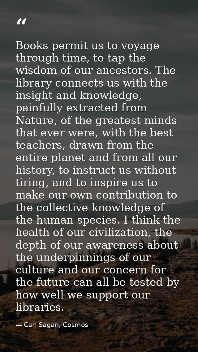 Books permit us to voyage through time, to tap the wisdom of our ancestors. The library connects us with the insight and — Carl Sagan, Cosmos