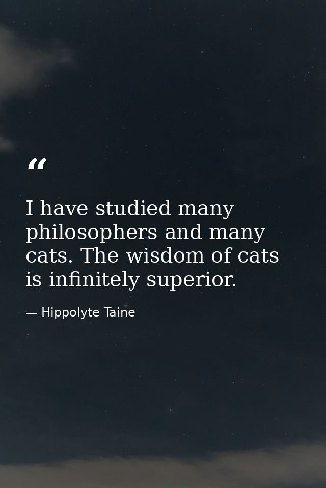 I have studied many philosophers and many cats. The wisdom of cats is infinitely superior. — Hippolyte Taine