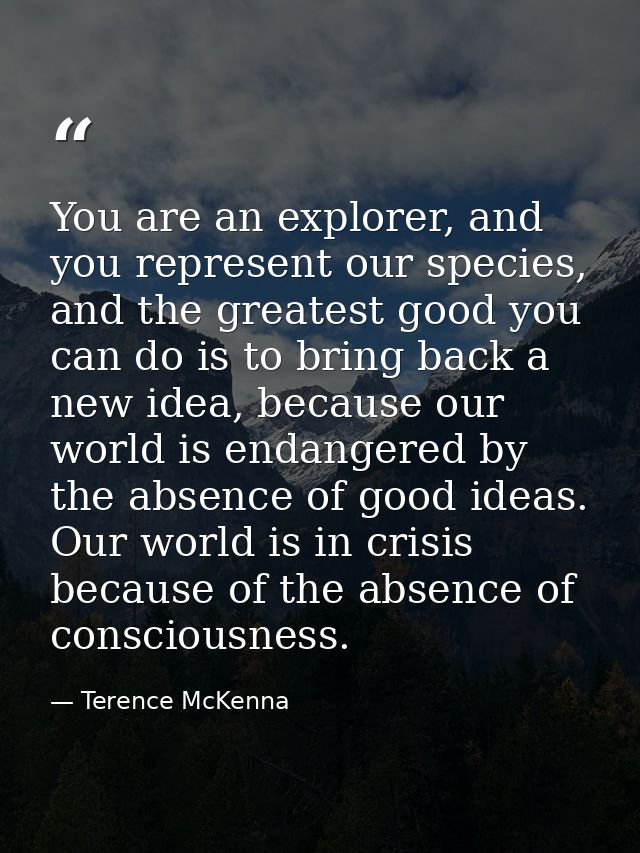 You are an explorer, and you represent our species, and the greatest good you can do is to bring back a new idea, becaus — Terence McKenna