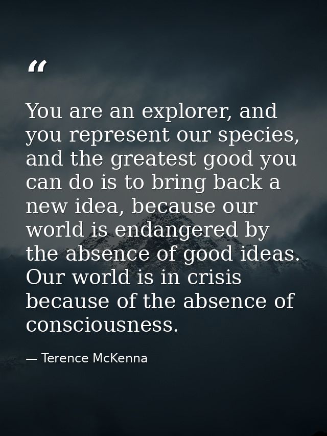 You are an explorer, and you represent our species, and the greatest good you can do is to bring back a new idea, becaus — Terence McKenna