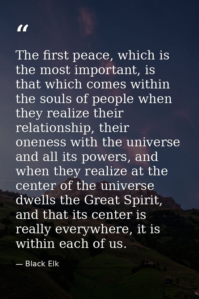 The first peace, which is the most important, is that which comes within the souls of people when they realize their rel — Black Elk