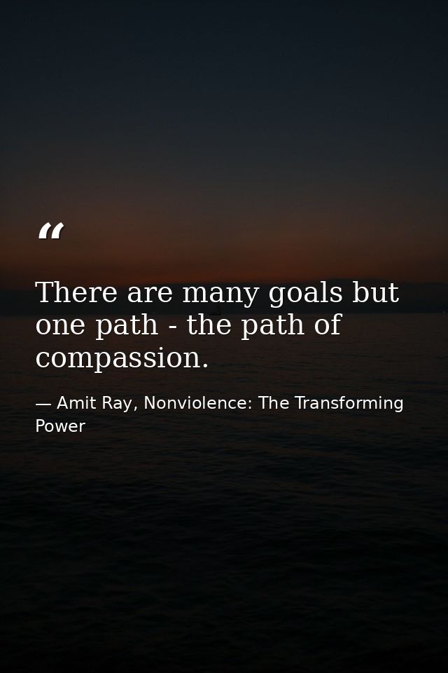 There are many goals but one path - the path of compassion. — Amit Ray, Nonviolence: The Transforming Power