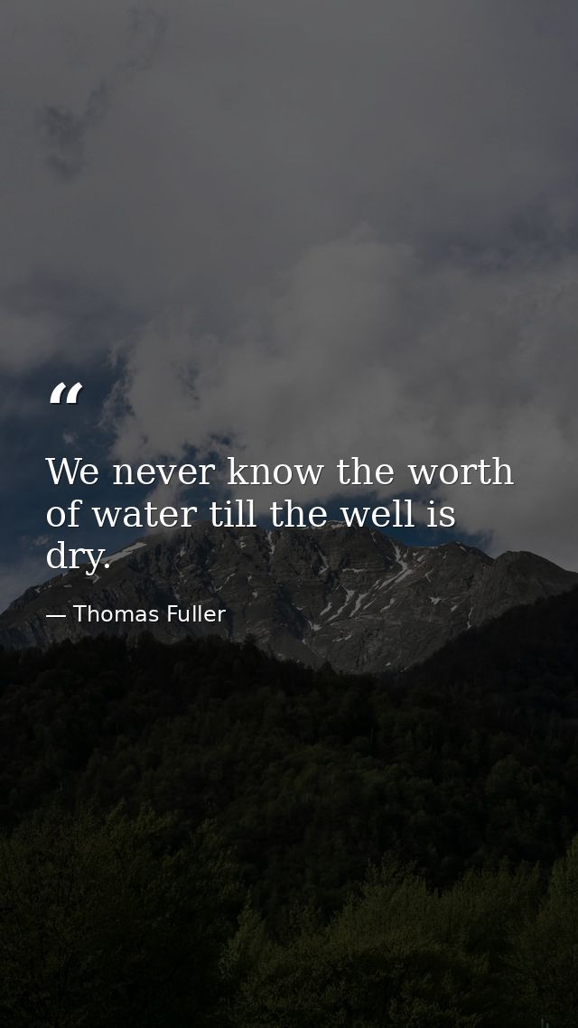 We never know the worth of water till the well is dry. — Thomas Fuller