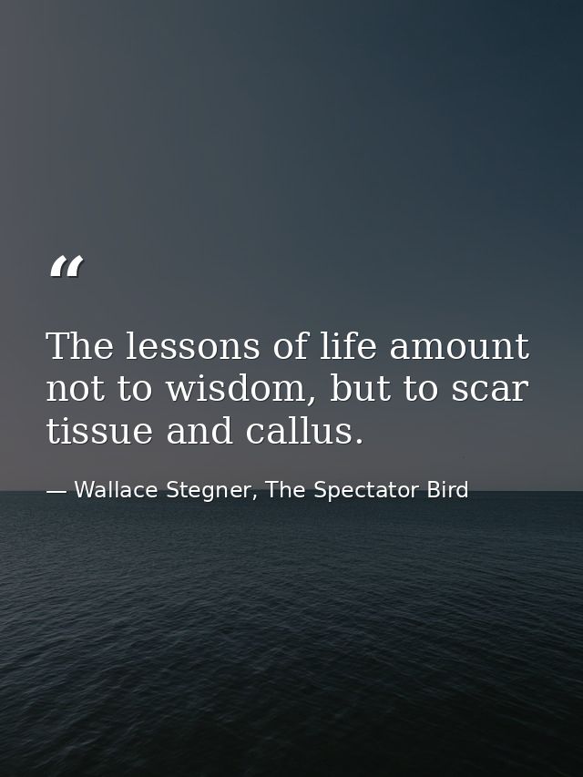 The lessons of life amount not to wisdom, but to scar tissue and callus. — Wallace Stegner, The Spectator Bird