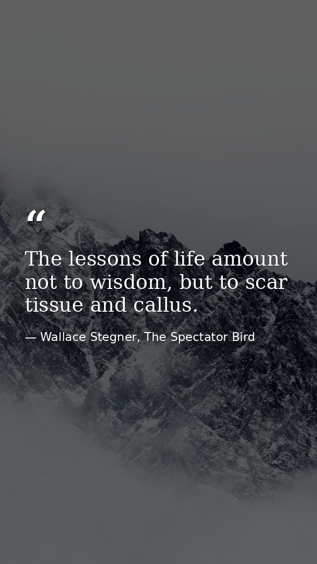 The lessons of life amount not to wisdom, but to scar tissue and callus. — Wallace Stegner, The Spectator Bird