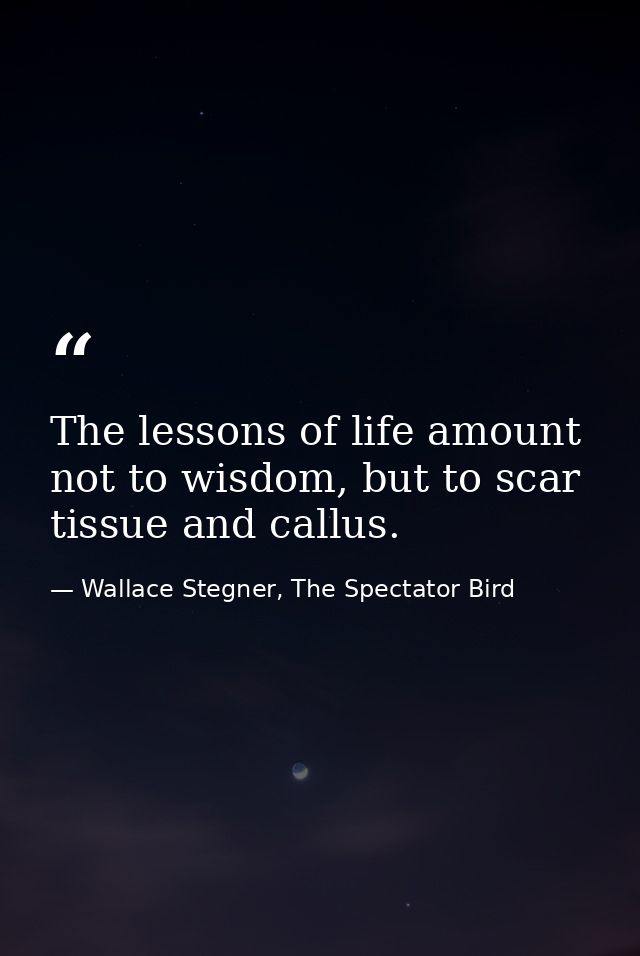 The lessons of life amount not to wisdom, but to scar tissue and callus. — Wallace Stegner, The Spectator Bird