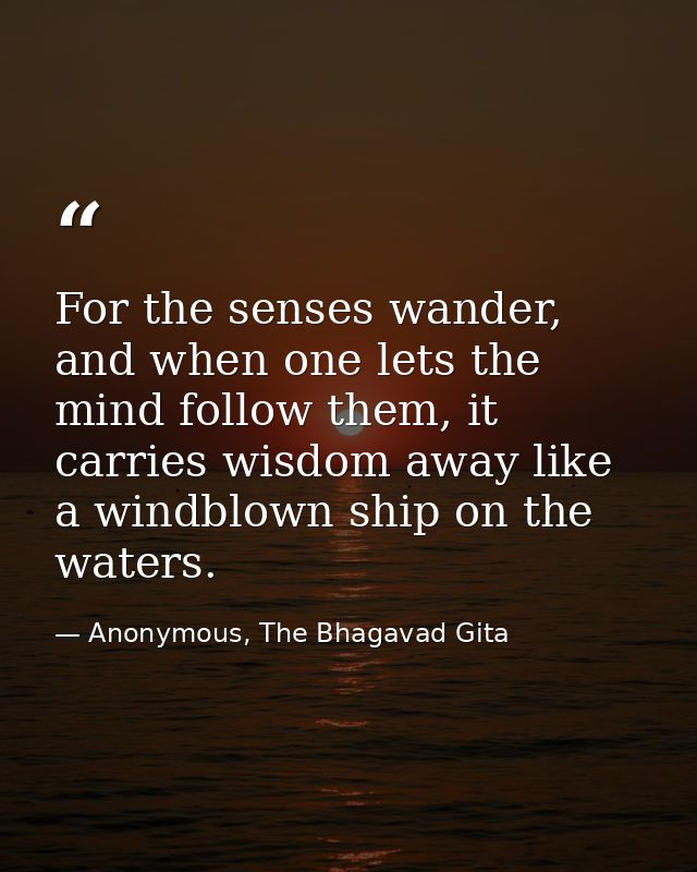 For the senses wander, and when one lets the mind follow them, it carries wisdom away like a windblown ship on the water — Anonymous, The Bhagavad Gita