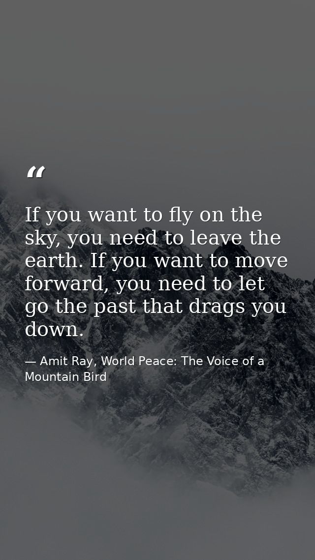 If you want to fly on the sky, you need to leave the earth. If you want to move forward, you need to let go the past tha — Amit Ray, World Peace: The Voice of a Mountain Bird