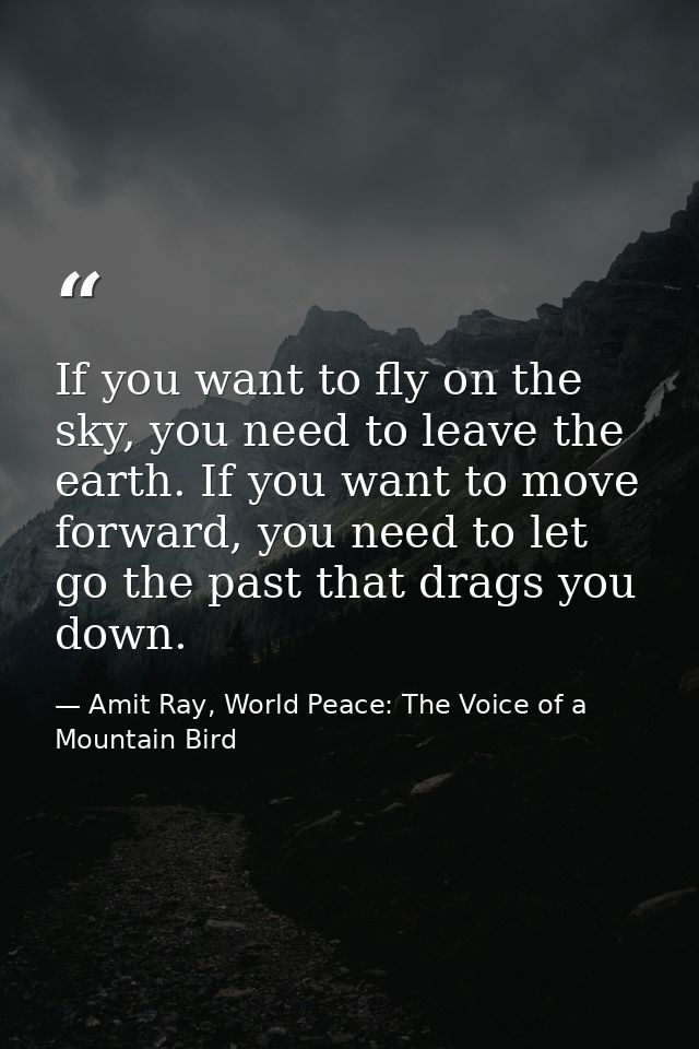 If you want to fly on the sky, you need to leave the earth. If you want to move forward, you need to let go the past tha — Amit Ray, World Peace: The Voice of a Mountain Bird
