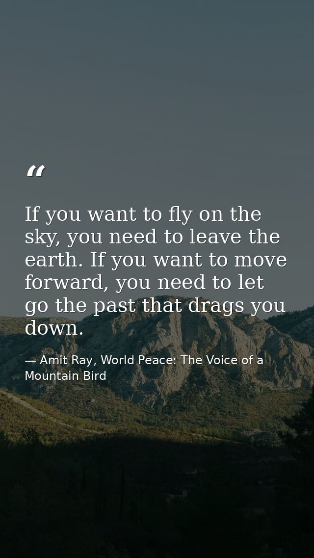 If you want to fly on the sky, you need to leave the earth. If you want to move forward, you need to let go the past tha — Amit Ray, World Peace: The Voice of a Mountain Bird
