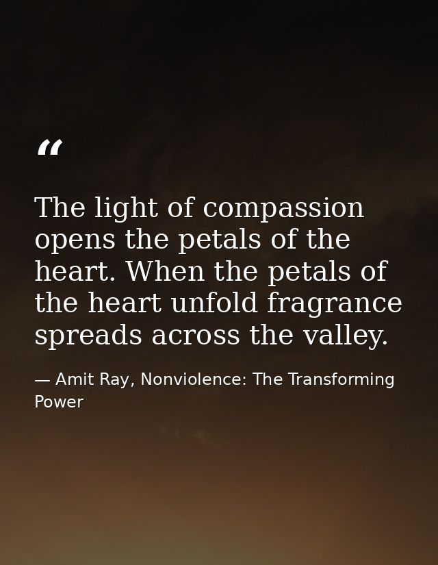 The light of compassion opens the petals of the heart. When the petals of the heart unfold fragrance spreads across the  — Amit Ray, Nonviolence: The Transforming Power