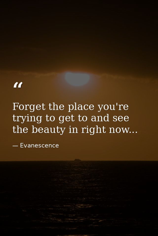 Forget the place you're trying to get to and see the beauty in right now... — Evanescence