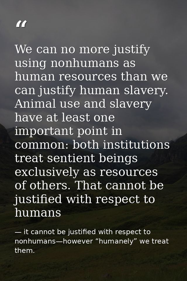 We can no more justify using nonhumans as human resources than we can justify human slavery. Animal use and slavery have — it cannot be justified with respect to nonhumans—however “humanely” we treat them.