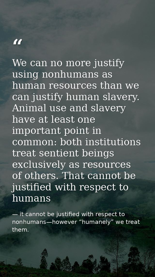 We can no more justify using nonhumans as human resources than we can justify human slavery. Animal use and slavery have — it cannot be justified with respect to nonhumans—however “humanely” we treat them.