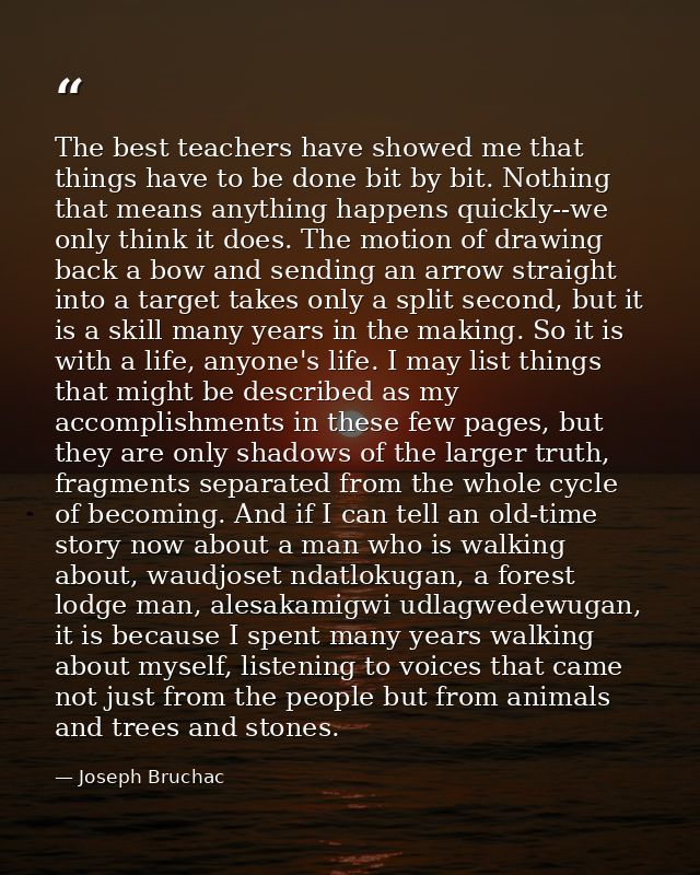 The best teachers have showed me that things have to be done bit by bit. Nothing that means anything happens quickly--we — Joseph Bruchac