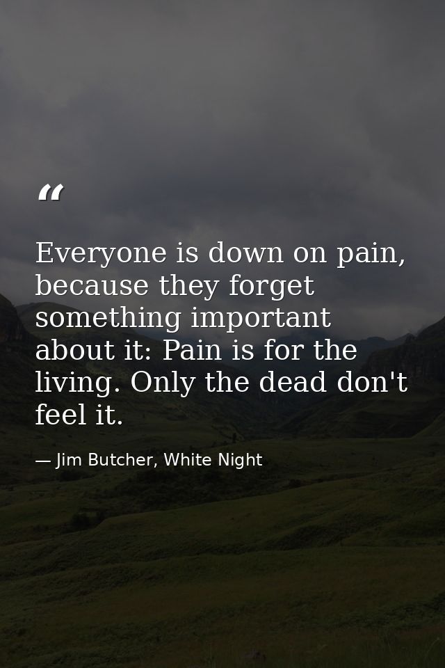 Everyone is down on pain, because they forget something important about it: Pain is for the living. Only the dead don't  — Jim Butcher, White Night