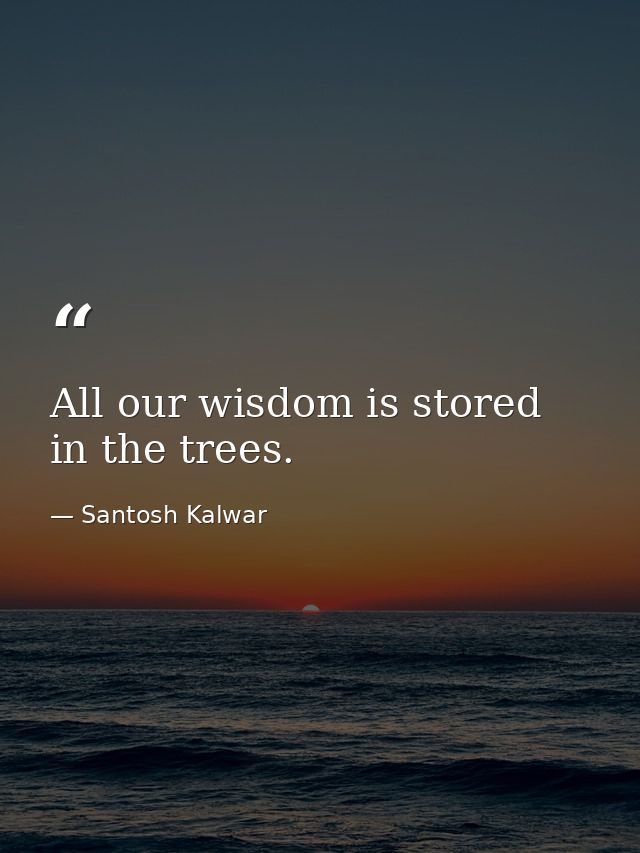All our wisdom is stored in the trees. — Santosh Kalwar