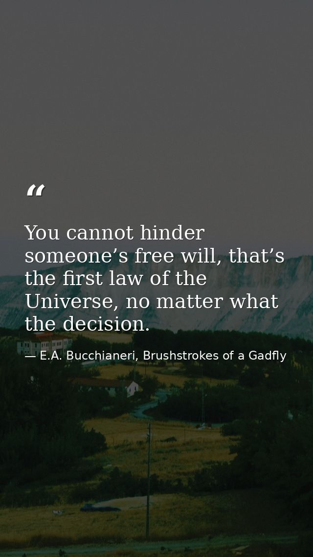 You cannot hinder someone’s free will, that’s the first law of the Universe, no matter what the decision. — E.A. Bucchianeri, Brushstrokes of a Gadfly