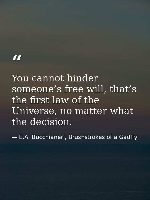 You cannot hinder someone’s free will, that’s the first law of the Universe, no matter what the decision. — E.A. Bucchianeri, Brushstrokes of a Gadfly