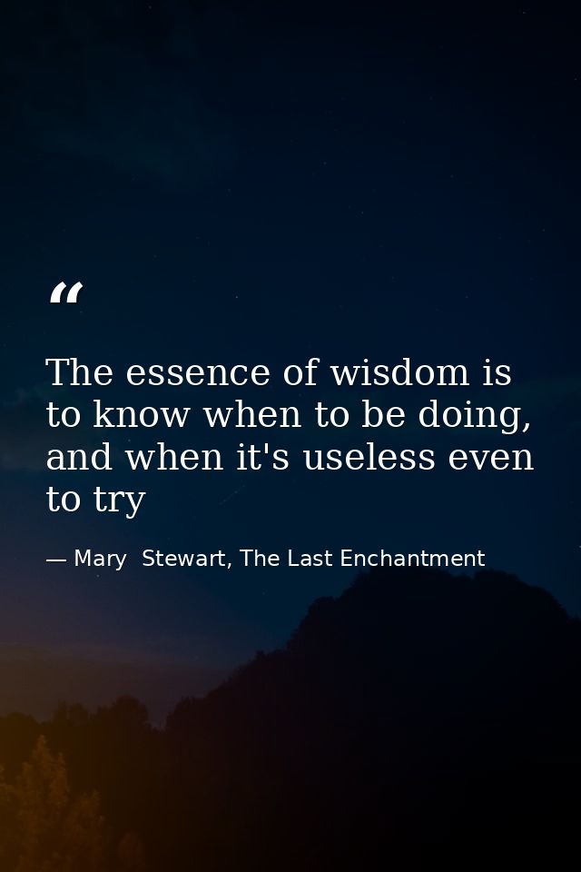 The essence of wisdom is to know when to be doing, and when it's useless even to try — Mary  Stewart, The Last Enchantment